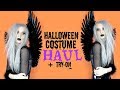 Halloween Costume Haul + Try-On