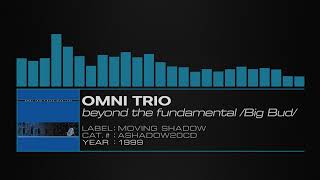 Omni Trio – Beyond The Fundamental (Big Bud Remix)