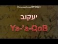 The Pronunciation of HaShem (The Name) יהוה YHWH