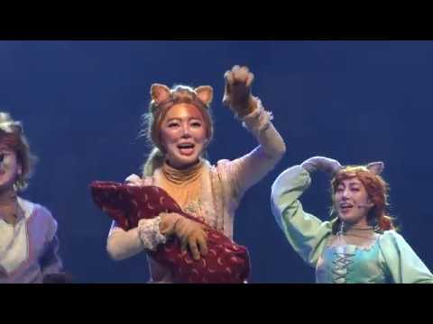 180113 11시공 뮤지컬 캣조르바 최미소 배우님
