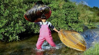 The clams in this place are too abundant, a pair of male and female clams with high pearl production