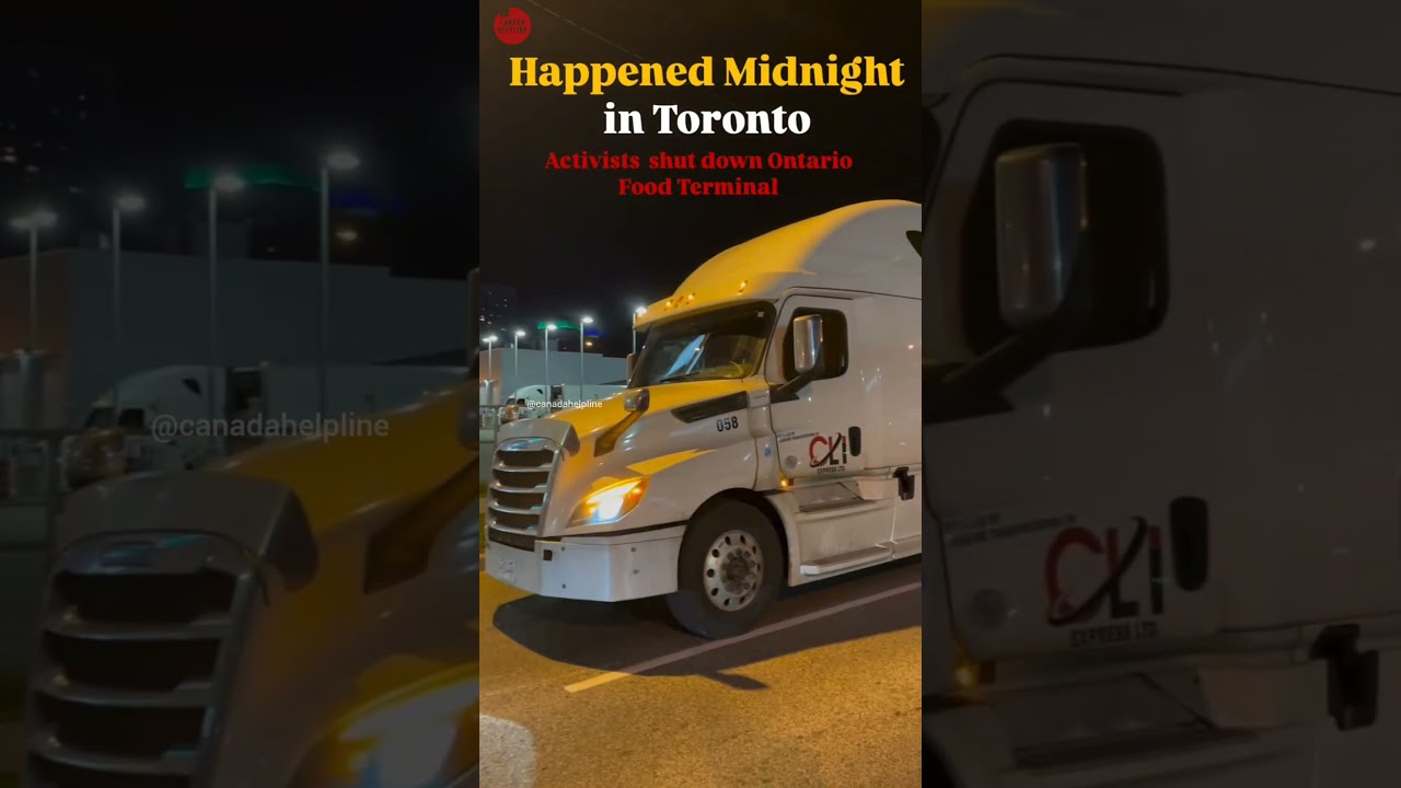Palestine Protest In Toronto Activists Shut Down Ontario Food Terminal 
