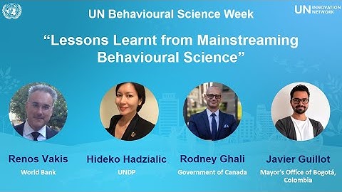 Lessons Learnt from Mainstreaming Behavioural Science (UNIN)