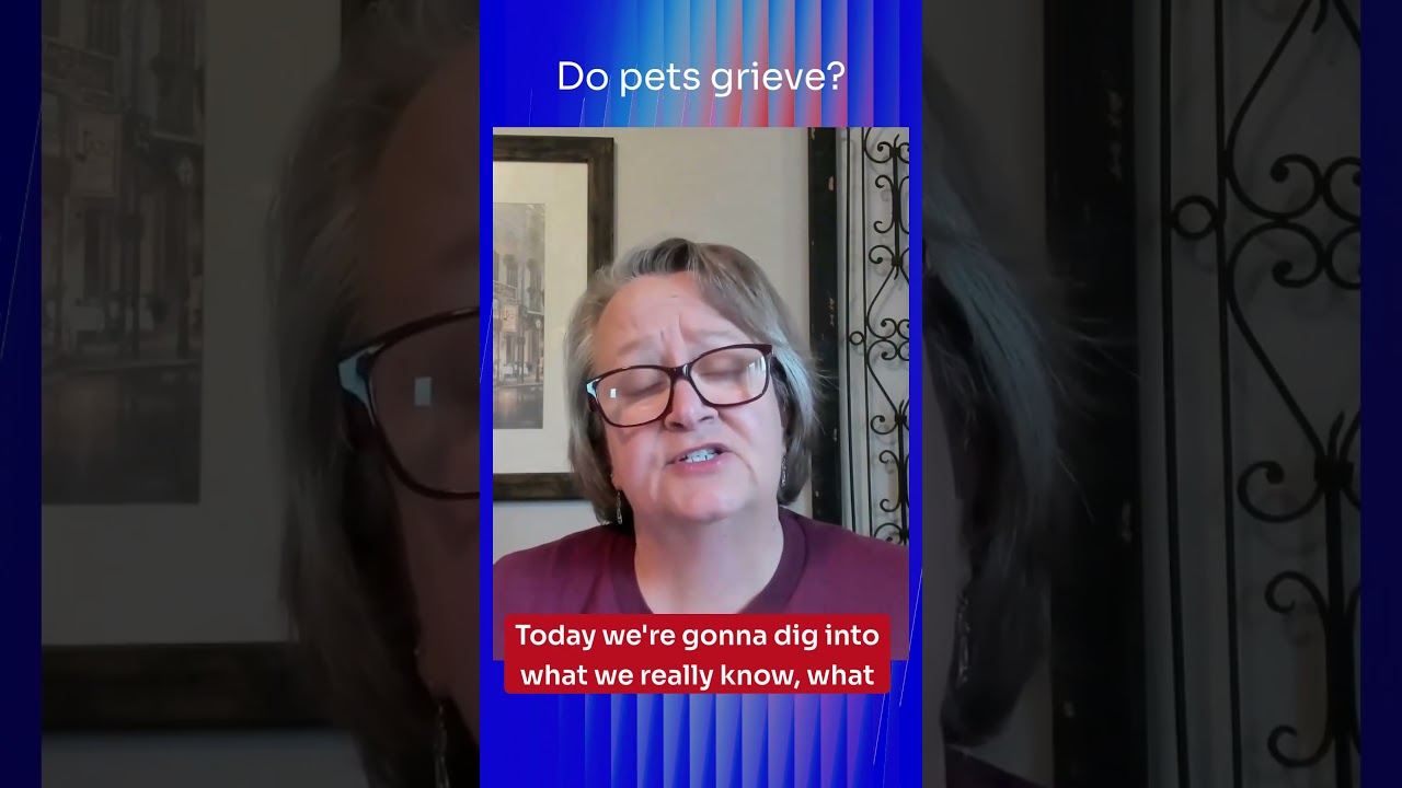 Do Pets Grieve, Or Is It Just a Reaction to Change?
