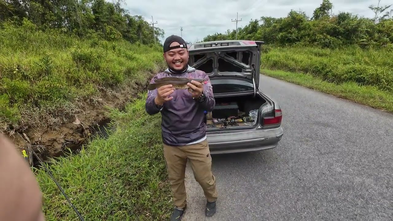 Trip kali ini terjumpa spot haruan yang sihat-sihat // strike spesis yang  jarang dapat 
