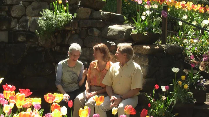 An interview at Ananda Village