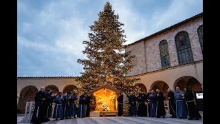 Auguri di Buon Natale dai frati della Basilica di San Francesco Assisi