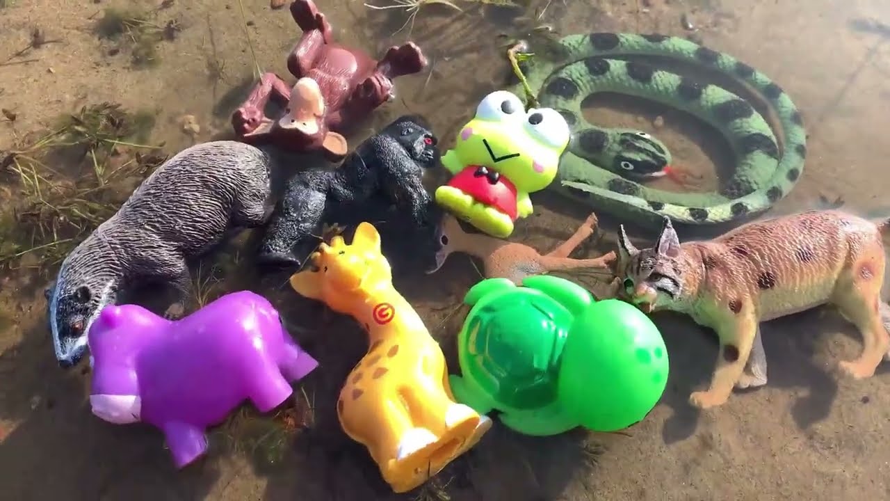 10 названий диких животных из зоопарка и интересные факты! 🐍🦁 Развивающая игрушка для детей и мал...