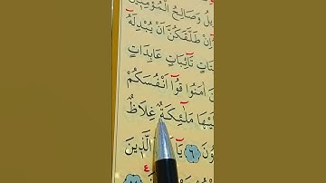 سورة التحريم الأية 6 إلى 7 بصوت سعد الغامدي