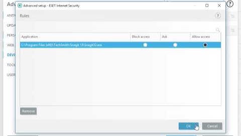 SnagIt Error : Failed to initialize recorder. Your video capture has been aborted