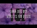 Lana Del Rey - Violets For Roses [Lyrics Español / Ingles]