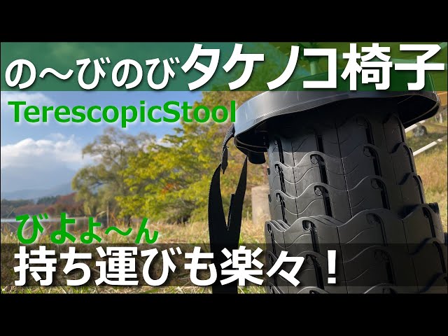 Recommendation for Bamboo Shoot Chairs] Convenient for camping