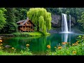 Beautiful Relaxing Music 2026 Stop Overthinking Stress Relief Soft Healing Ambience