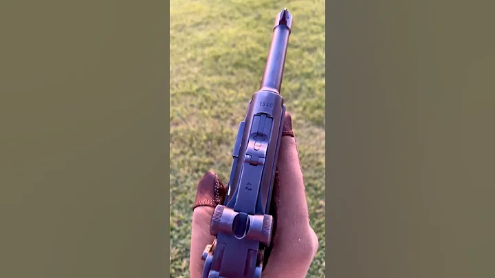 Insane WW2 all matching P08 Luger. #ww2 #luger #9mm #callofduty #germany #german #sunset #reels