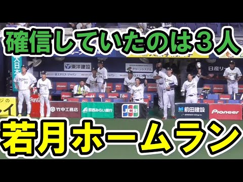 【虎の子の1点】若月健矢 山﨑福也の10勝目につなげる決勝先制ホームラン【埼玉コンビ】