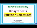 1: Purine Nucleotides: De novo synthesis | Nucleotide Metabolism | Biochemistry | @NJOYBiochemistry