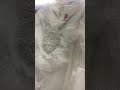 Wow Beautiful Blouse Just Visit Dragon Gift Center Ghubra 