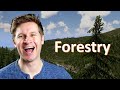 New Forestry District in Cities: Skylines