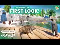 FIRST LOOK Aquatic Pack & 1.4 Update - Planet Zoo huge Update - All Animals
