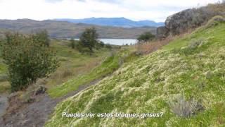 Video thumbnail of "Les discrets - Song for Mountains (Subtitulos al español)"