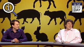 QI | What Was The First Animal To Be Cloned?