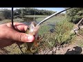 Вилково рыбалка окунь на маньячку в жабовнике
