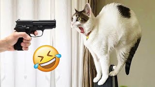 Funniest Animals 🤣 Hilarious Cats and Dogs 2024 😹🐶 Part 2