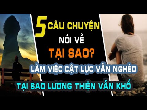 Những Câu Chuyện Cuộc Sống Hay