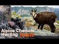 Alpine Chamois Hunting in France / 2021
