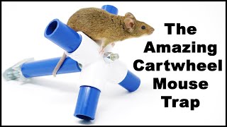 The Amazing Cartwheel Mouse Trap Gets The Job Done! Mousetrap Monday