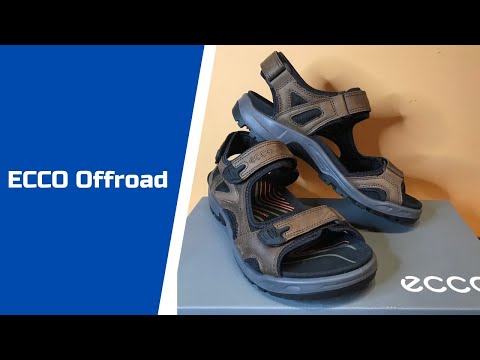 cleaning ecco sandals