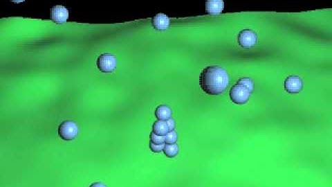 Actin | Globular Protein | G actin | F actin