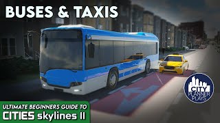 How to Transform Transportation in Your City with Buses and Taxis in Cities Skylines 2  |  UBG 3