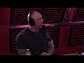 Joe Rogan (jiujitsu black belt) about Steven Seagal and his 100% legit Aikido Mp3 Song