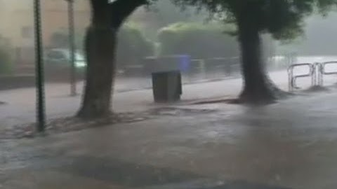 Raw: Rain Washes Trash Bins Down Israeli Street