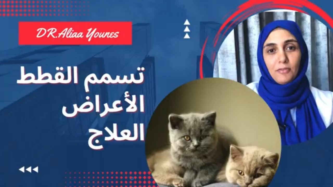 علامات وأعراض تسمم القطط وطرق العلاج .. #تسمم القطط #علاج تسمم القط