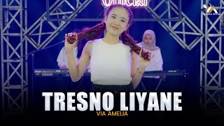 VIA AMELIA - TRESNO LIYANE ( Live )