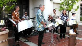 Kitty Cat by Big Bamboo Steel Band
