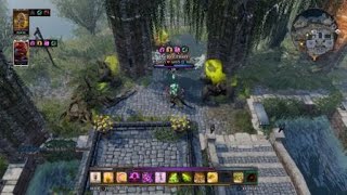 Divinity: Original Sin 2 shield master
