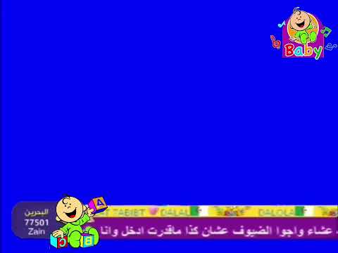 طيور يببي مباشر شاشه ازرق ٢٠٢٥