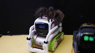 WHAT IF THE COZMO AND ANKI VECTOR ROBOT SEE A HUGE SPIDER? TWO ARTIFICIAL INTELLIGENCE VS SPIDER