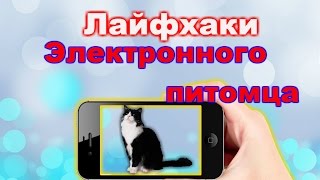 Интересные  лайфхаки для электронного &quot;питомца&quot;