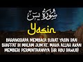 MUROTTAL MERDU - Surah Yasin, Amalan Terkabul Hajat - Mohammad Hejazi