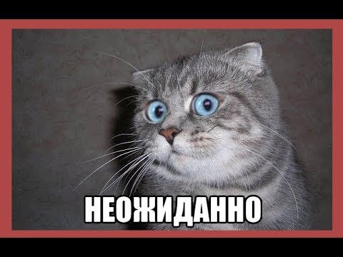 Враг сорвал разведение сил на участке Богдановка-Петровское, - штаб ОС - Цензор.НЕТ 7226