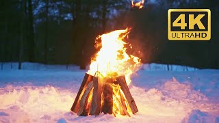 Cozy Fire on Snow 4 hours in 4K UHD! Fire Burning Wood Logs with Crackling Fire Sounds