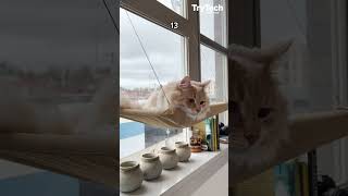 Iphone 14 Vs 13 The Most Scientific Camera Test Trytech Techcrunch