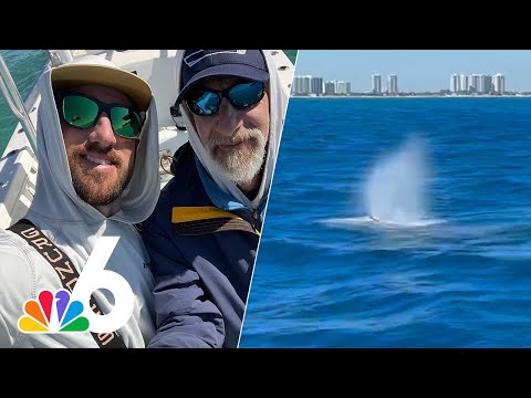 Extremely RARE whale sighting off South Florida coast near Miami