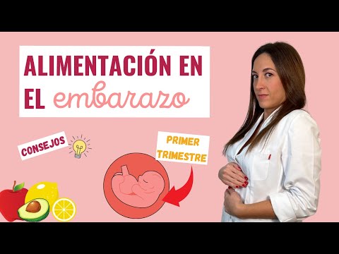 🔶 ALIMENTACIÓN 👉