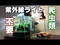 紫外線ライト意味がない？【爬虫類飼育】カメ水槽⑦