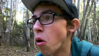Forest spiders!